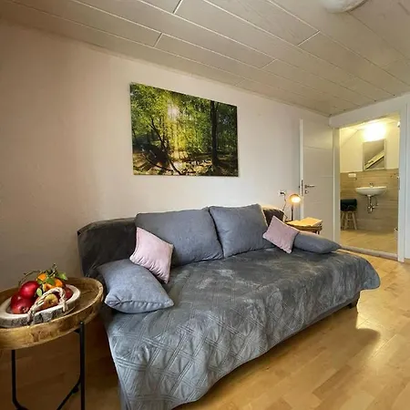 Spiegelslust-apartments *