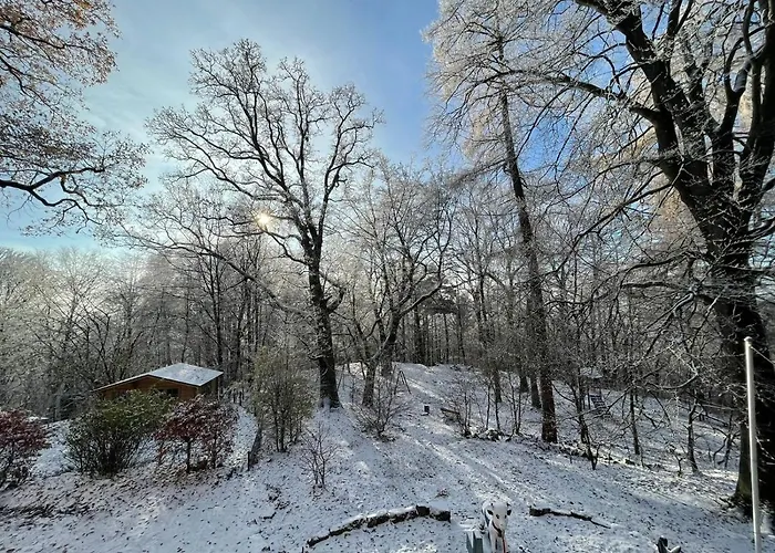 Apartman Spiegelslust-apartments *